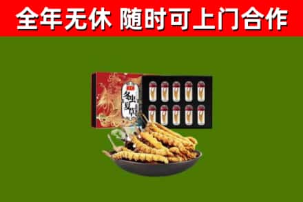 桦川回收冬虫夏草价格